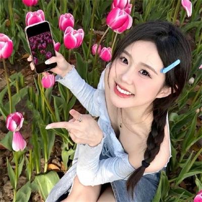 离狼之歌