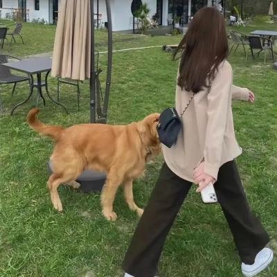 一键倾心